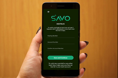 QZ Developers Savio Mobile Application
