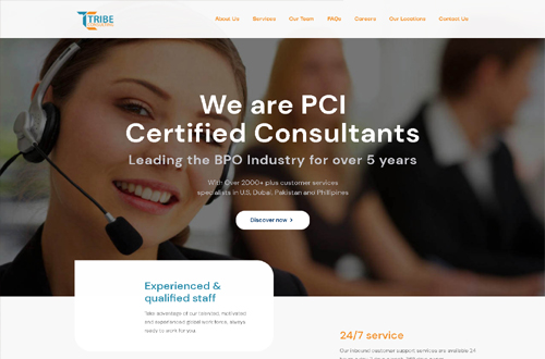 QZ Developers Tribe Consulting